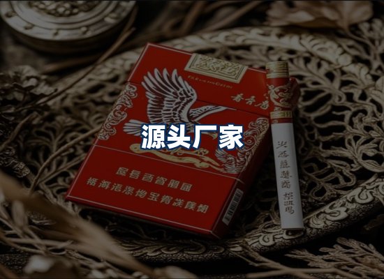 专业团队办公环境